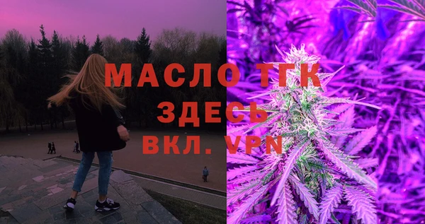 гидра Абаза