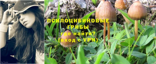 ешки Абдулино