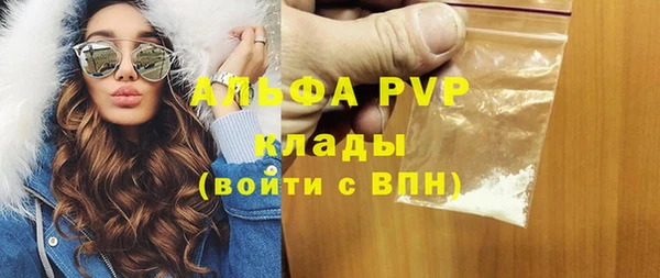гидра Абаза